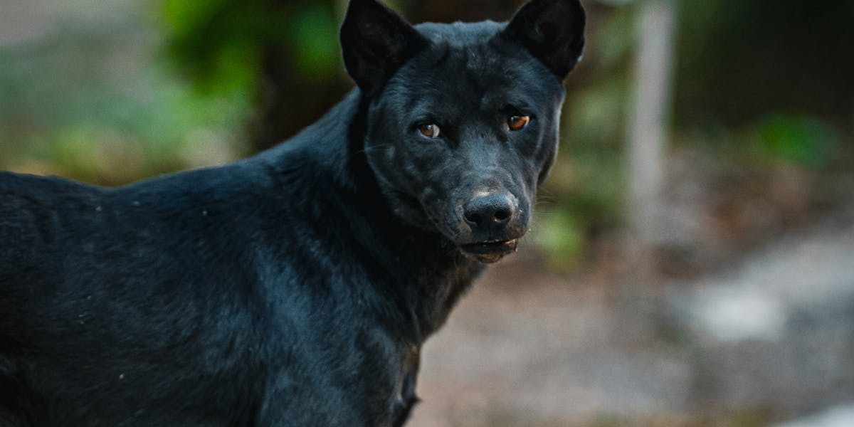 storytelling no instagram