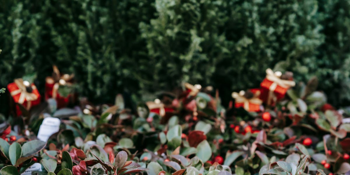 growth hacking infoprodutos evergreen