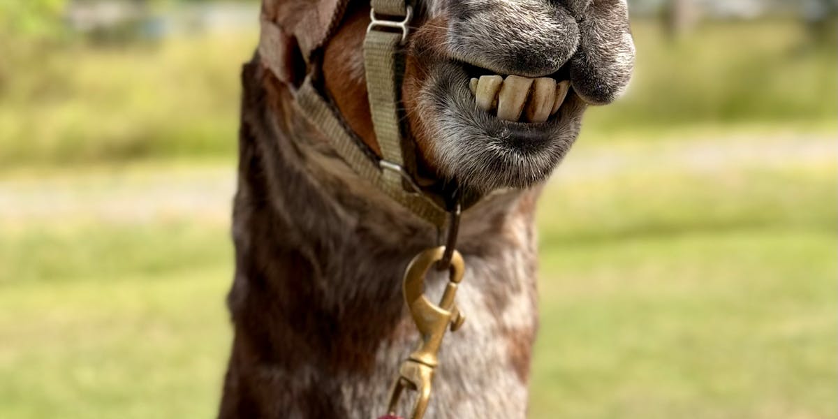 segmentação por comportamento no site